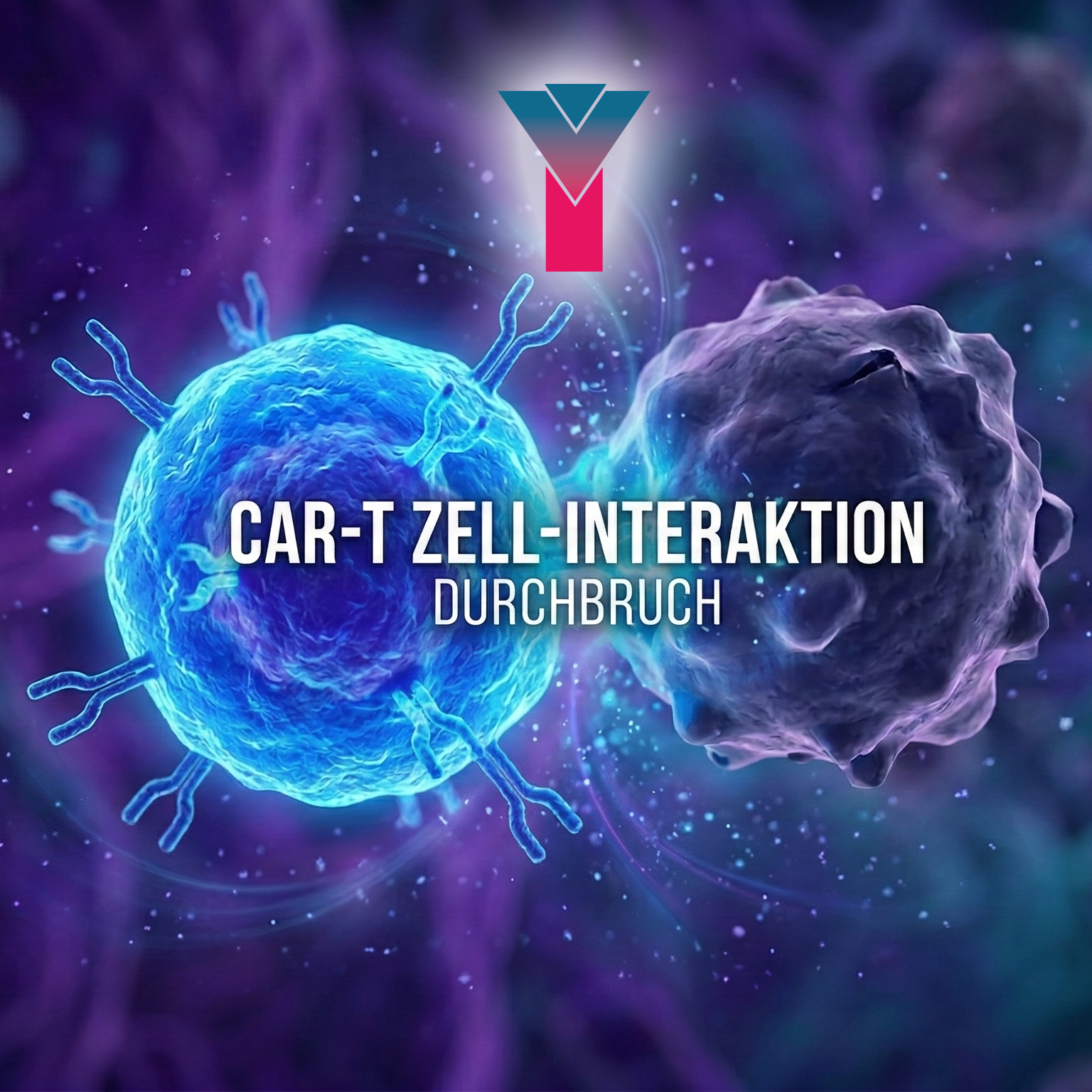 Erlanger Forschenden gelingt neuer Durchbruch in der Erforschung von CAR-T-Zelltherapien bei Autoimmunerkrankungen